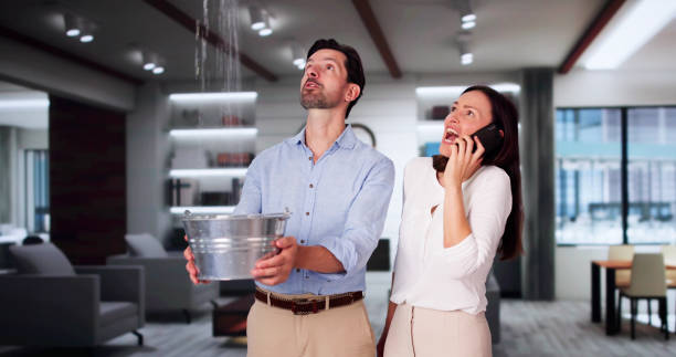 Best Local water damage restoration  in USA